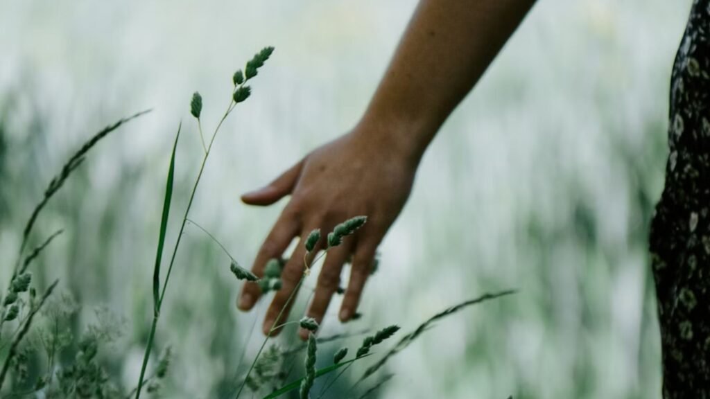 Hand gently touching grass in a calming field, symbolizing somatic therapy and emotional regulation.