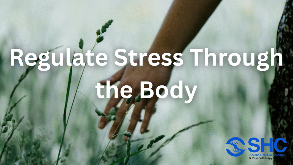 Hand gently touching grass in a calming field, symbolizing somatic therapy and emotional regulation. Overlaid text reads: Regulate Stress Through the Body.