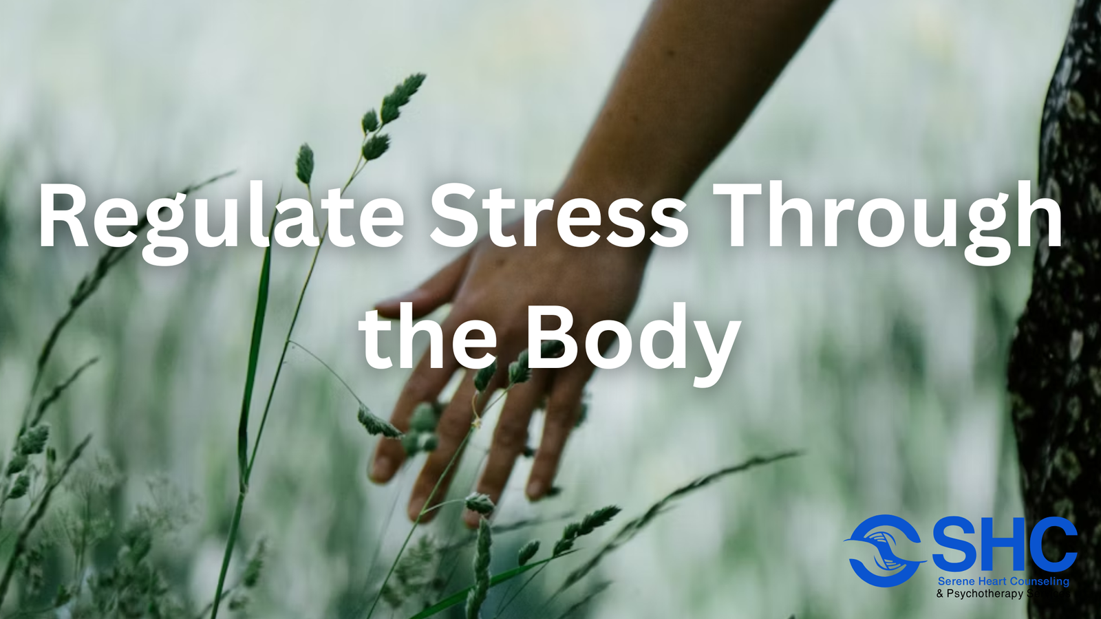 Hand gently touching grass in a calming field, symbolizing somatic therapy and emotional regulation. Overlaid text reads: Regulate Stress Through the Body.
